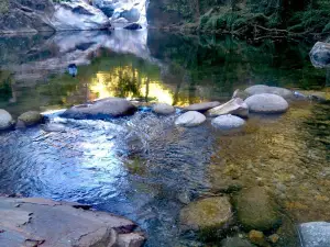 Charco Verde