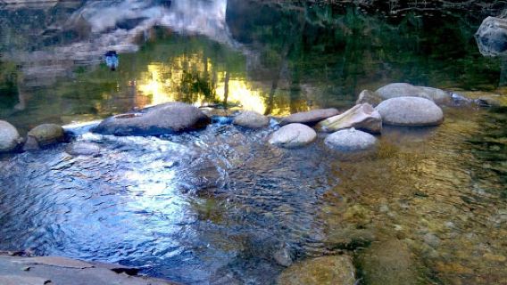 Charco Verde