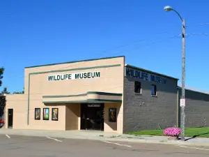 Blaine County Wildlife Museum