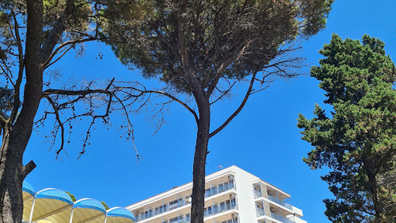 Ulcinj Walk