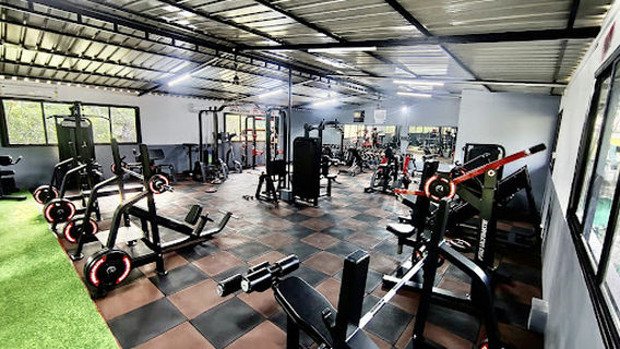 Muscle Factory