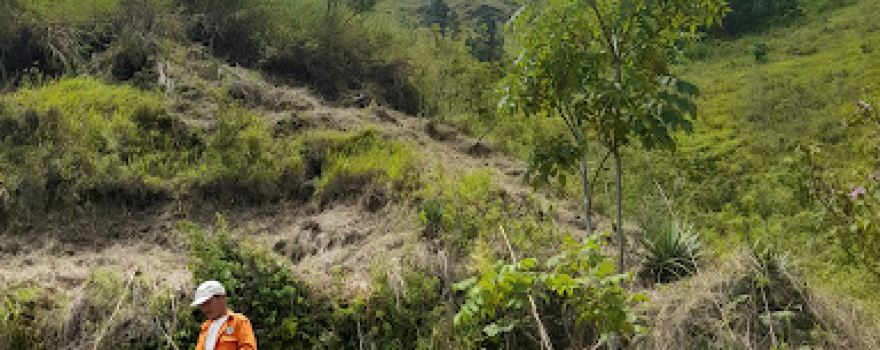Piramid Toba | ᯇᯪᯒᯔᯑᯪ᯲ ᯖᯬᯅ