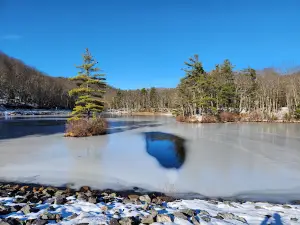 Leominster State Forest