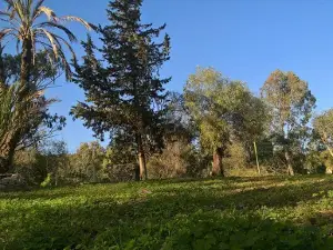 El Aroussia Parc