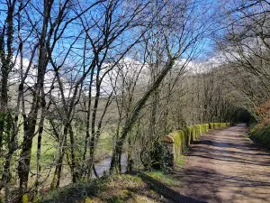 Fitness trail