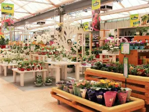 Dehner Garten-Center