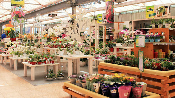 Dehner Garten-Center