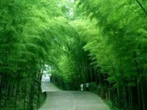 A.B.U. Botanical Gardens