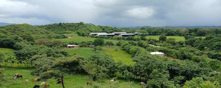 El congo