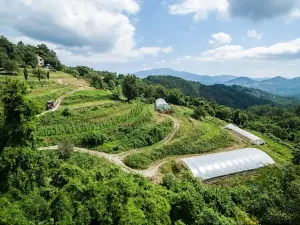 Adventure Park in Val di Vara