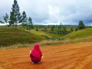 Pohon Kembar Puncak Napu