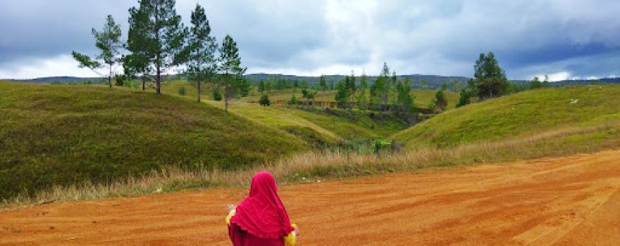 Pohon Kembar Puncak Napu
