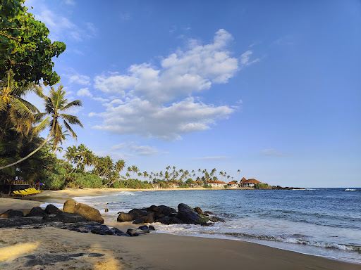 Turtle Point