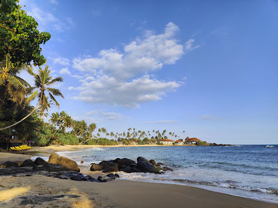 Turtle Point