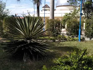 Digital Parks Lueng Putu
