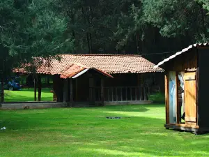 Santuario de las Luciérnagas, Tlaxcala - Bosque Mágico