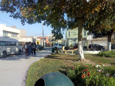 amor Park