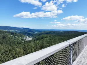 The Timber Trail, Krkonoše