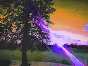 Ott's Park