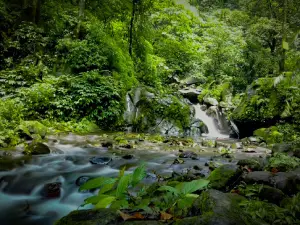Air Terjun Kakek Bodo