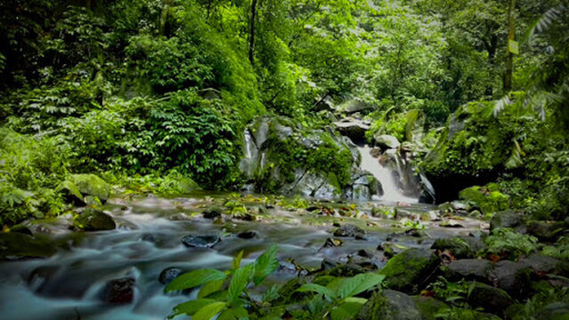 Air Terjun Kakek Bodo