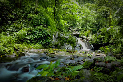 Air Terjun Kakek Bodo