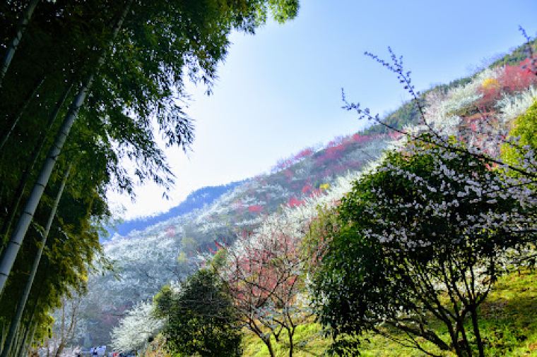 유명한 지역축제 일정