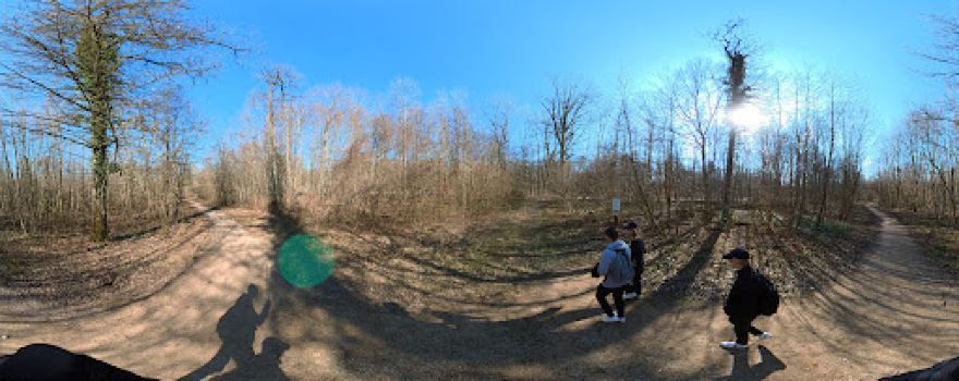 Parc de loisirs de la forêt de Haye