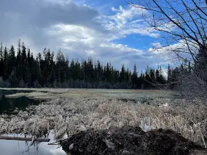 Davis Lake Campground