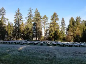 MÄRJAMAA LAULULAVA