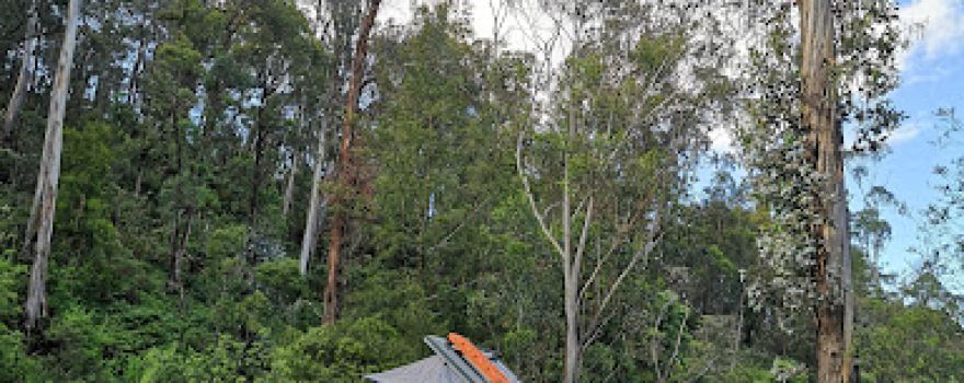 Willow Tree Campground