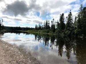 Mint Brook RV Park and Campgrounds