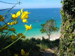 Plage d'Herlin