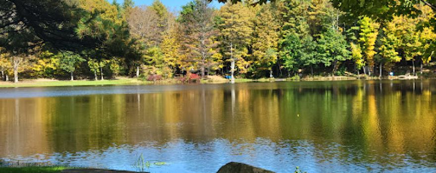 Earlton Hill Campground & RV Park