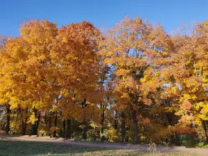 Ellis-Porter Park