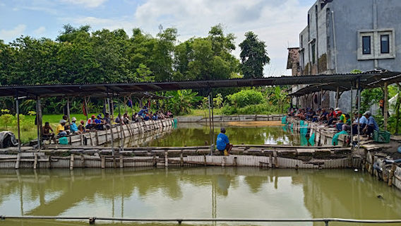 KOLAM PANCING IDAMAN