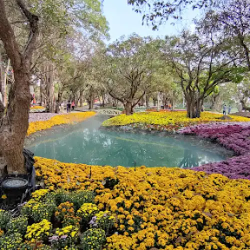 สวนไม้งามริมน้ำกก