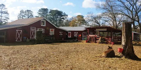 The Art Barn At Morning Glory Farm
