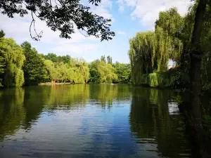 City park