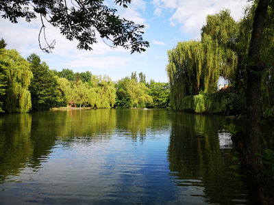City park