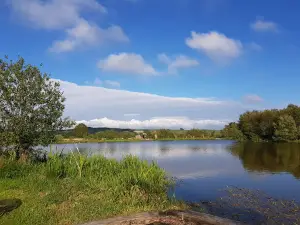 The New Celtic Lakes