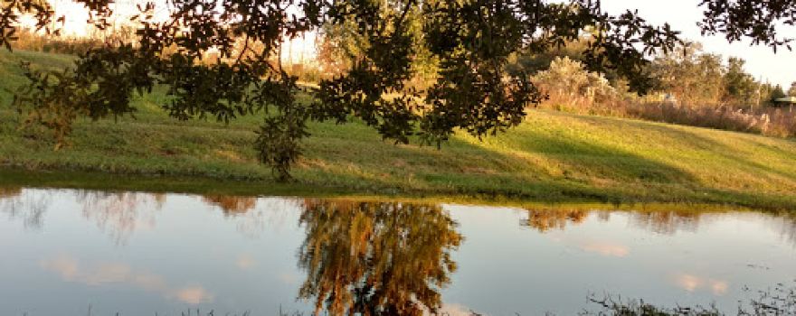 Park Manor Neighborhood Park