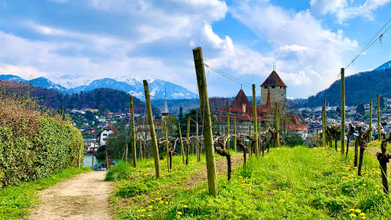 Katzenstein