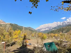 Belemedik Piknik Alanı ve Anıt Ağacı