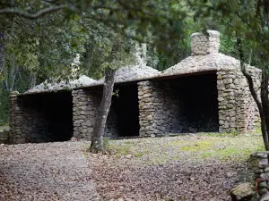 Parco di Funtana Is Arinus