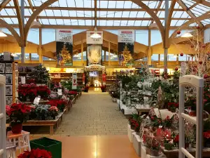botanic Vivier-au-Court