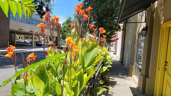 Kula's Boutique & Tanning