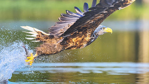 Ausstellung Sundische Wiese