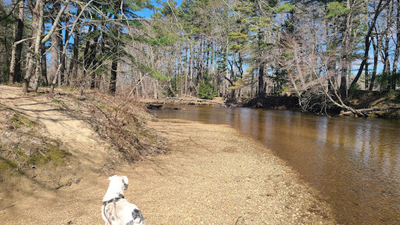 Bearcamp River Campground