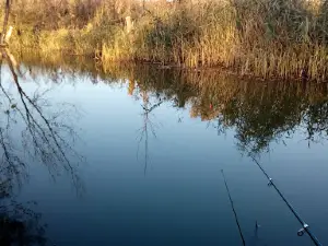 р. Камышеваха